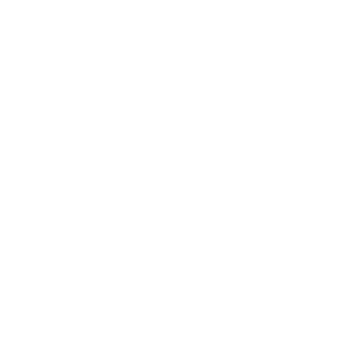 Icone chaussures